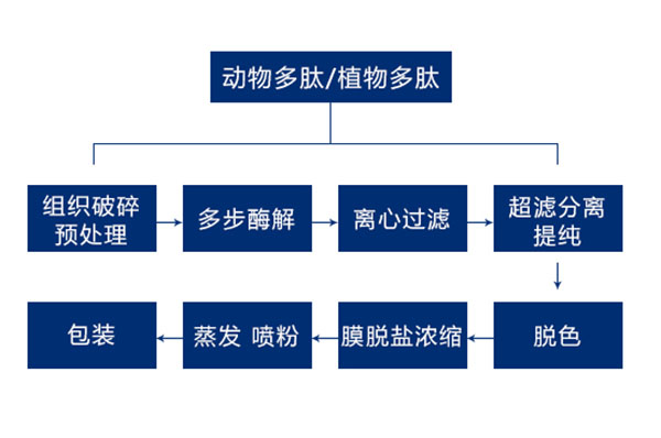 葵花盤多肽生產線